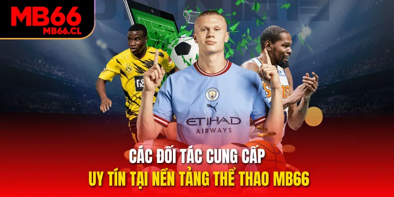 Các đối tác cung cấp uy tín tại nền tảng thể thao MB66 Các đối tác cung cấp uy tín tại nền tảng thể thao MB66