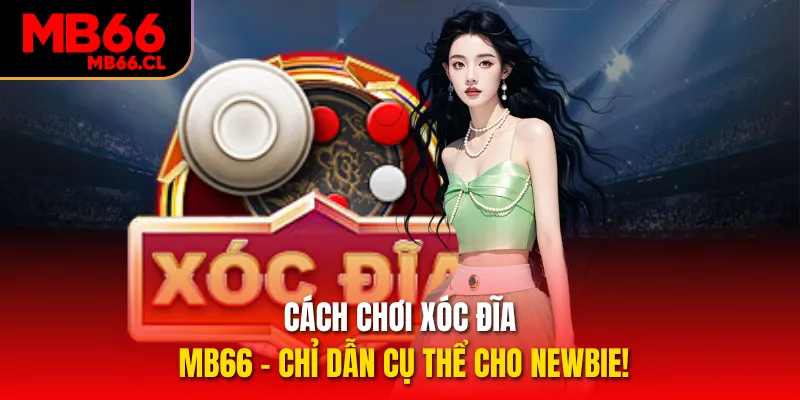 Cách Chơi Xóc Đĩa MB66 - Chỉ Dẫn Cụ Thể Cho Newbie!