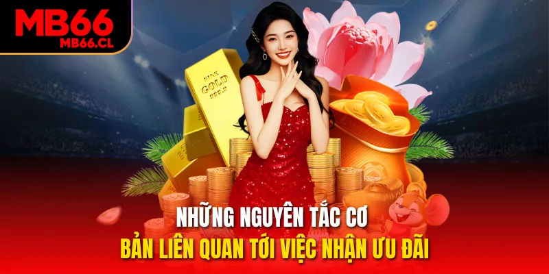 Những nguyên tắc cơ bản liên quan tới việc nhận ưu đãi 
