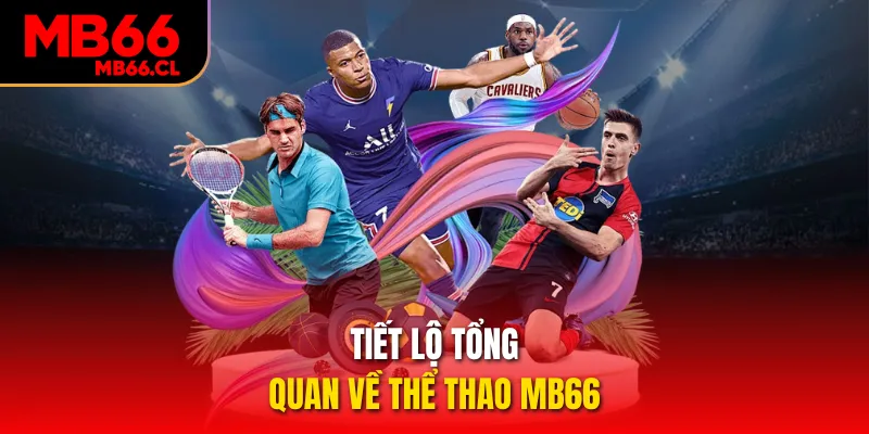 Tiết lộ tổng quan về thể thao MB66 Tiết lộ tổng quan về thể thao MB66